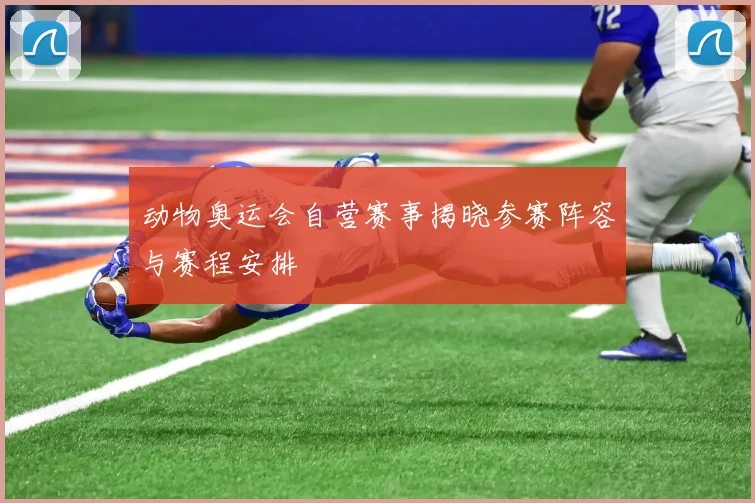 动物奥运会自营赛事揭晓参赛阵容与赛程安排